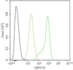 USP11 Antibody in Flow Cytometry (Flow)