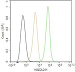 MAD2L2 Antibody in Flow Cytometry (Flow)