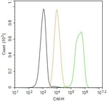 CrkL Antibody in Flow Cytometry (Flow)