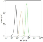 SETD8 Antibody in Flow Cytometry (Flow)