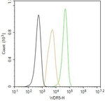 WDR5 Antibody in Flow Cytometry (Flow)