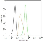 MVP Antibody in Flow Cytometry (Flow)