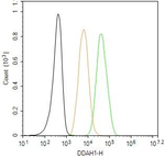 DDAH1 Antibody in Flow Cytometry (Flow)