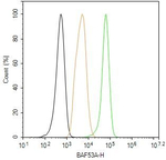 BAF53A Antibody in Flow Cytometry (Flow)