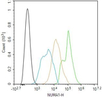 NuMA Antibody in Flow Cytometry (Flow)