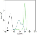 IGFBP7 Antibody in Flow Cytometry (Flow)