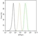 SFPQ Antibody in Flow Cytometry (Flow)