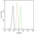 15-PGDH Antibody in Flow Cytometry (Flow)