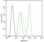 PMP70 Antibody in Flow Cytometry (Flow)