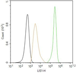 LIS1 Antibody in Flow Cytometry (Flow)