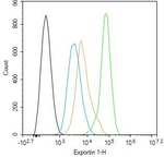 CRM1 Antibody in Flow Cytometry (Flow)