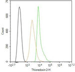Thioredoxin 2 Antibody in Flow Cytometry (Flow)