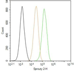 SPRY2 Antibody in Flow Cytometry (Flow)