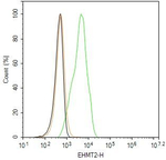EHMT2 Antibody in Flow Cytometry (Flow)