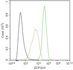 DCP1A Antibody in Flow Cytometry (Flow)