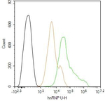 hnRNP U Antibody in Flow Cytometry (Flow)
