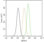 E2F6 Antibody in Flow Cytometry (Flow)