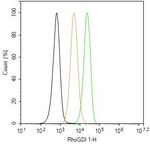 RhoGDI Antibody in Flow Cytometry (Flow)