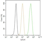 ILF2 Antibody in Flow Cytometry (Flow)