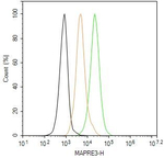 MAPRE3 Antibody in Flow Cytometry (Flow)
