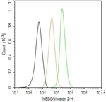 Septin 2 Antibody in Flow Cytometry (Flow)