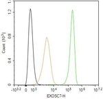 EXOSC7 Antibody in Flow Cytometry (Flow)