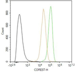 RCOR1 Antibody in Flow Cytometry (Flow)