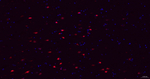 RCOR1 Antibody in Immunohistochemistry (Paraffin) (IHC (P))