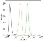 HIF1AN Antibody in Flow Cytometry (Flow)