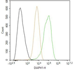 DIAPH1 Antibody in Flow Cytometry (Flow)