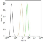 PIST Antibody in Flow Cytometry (Flow)