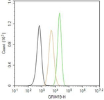 NDUFA13 Antibody in Flow Cytometry (Flow)