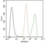 NONO Antibody in Flow Cytometry (Flow)