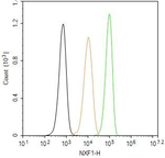 TAP Antibody in Flow Cytometry (Flow)