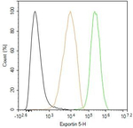 XPO5 Antibody in Flow Cytometry (Flow)