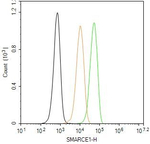BAF57 Antibody in Flow Cytometry (Flow)