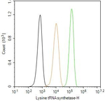 KARS Antibody in Flow Cytometry (Flow)
