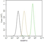 KHSRP Antibody in Flow Cytometry (Flow)