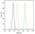 PRP8 Antibody in Flow Cytometry (Flow)