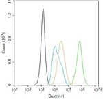 Destrin Antibody in Flow Cytometry (Flow)