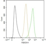 FBXO5 Antibody in Flow Cytometry (Flow)