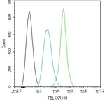 TBLR1 Antibody in Flow Cytometry (Flow)