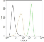 CHD1L Antibody in Flow Cytometry (Flow)