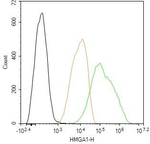 HMGA1 Antibody in Flow Cytometry (Flow)