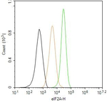 eIF2A Antibody in Flow Cytometry (Flow)