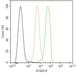 ATAD2 Antibody in Flow Cytometry (Flow)