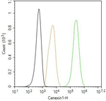 ODF2 Antibody in Flow Cytometry (Flow)