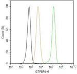 GTPBP4 Antibody in Flow Cytometry (Flow)
