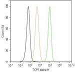 TCP1 Antibody in Flow Cytometry (Flow)