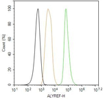 ALY Antibody in Flow Cytometry (Flow)